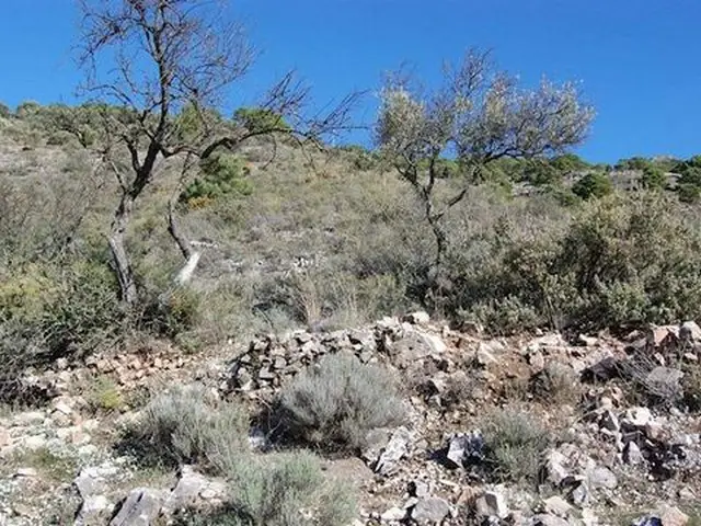 Terreno en venta Competa, España