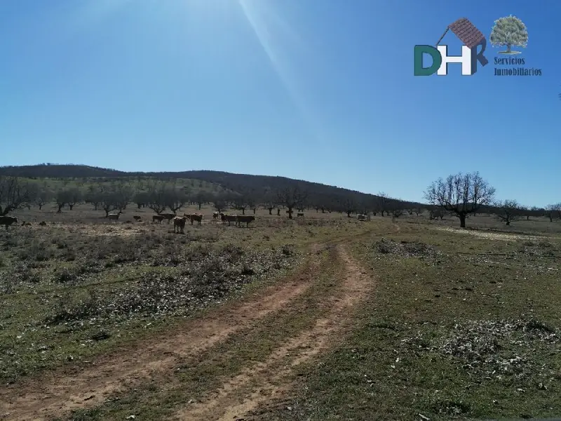 Venta Finca Rustica 50 Hectareas Cáceres