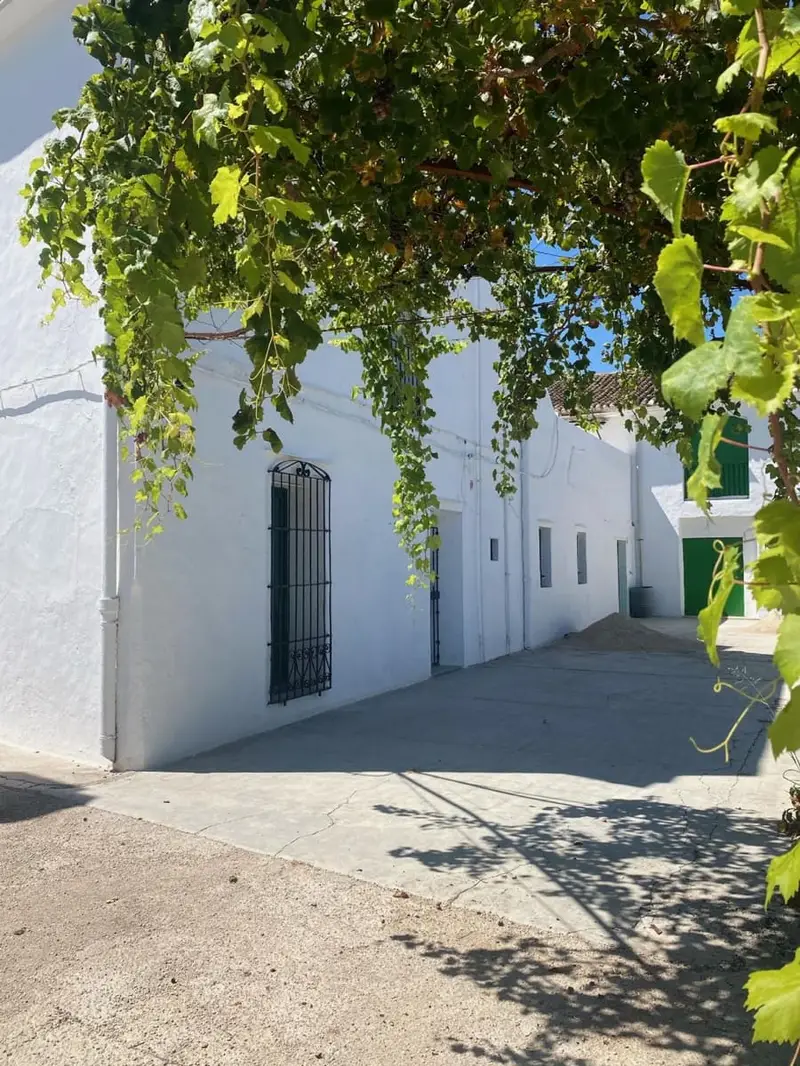 Finca con dos casas en Beniarjo Valencia
