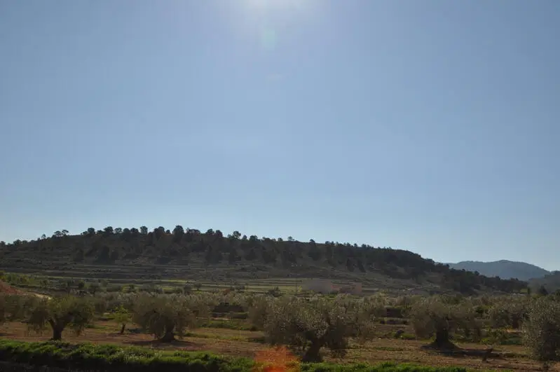 Parcela en La Zarza cerca del Parque Nacional Sierra De La Plia