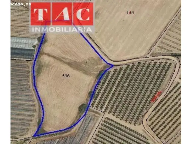 Finca Rustica en Lepe para huerto familiar