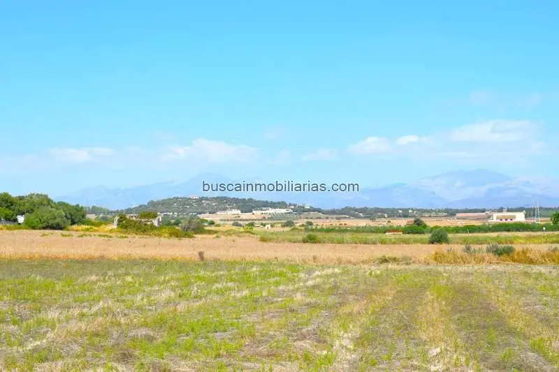 Parcelas Rusticas en Venta Santa Margalida Serra de Tramuntana
