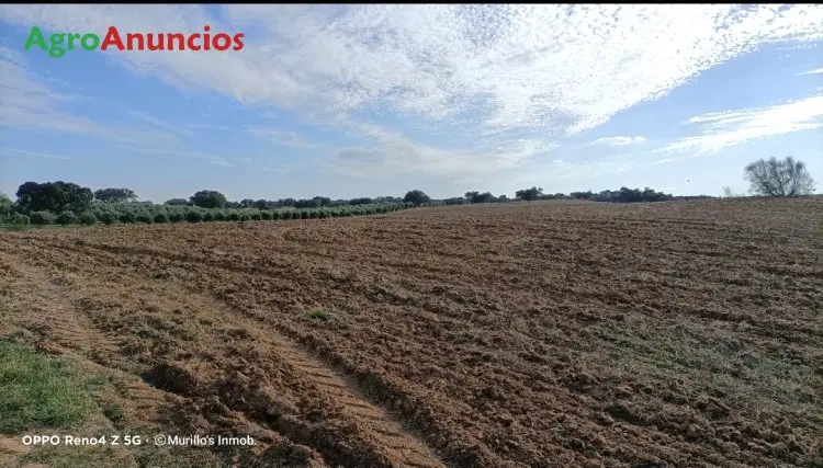 Venta  de Finca rústica en Badajoz