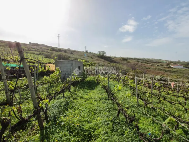 Terrenos en venta en El Sauzal