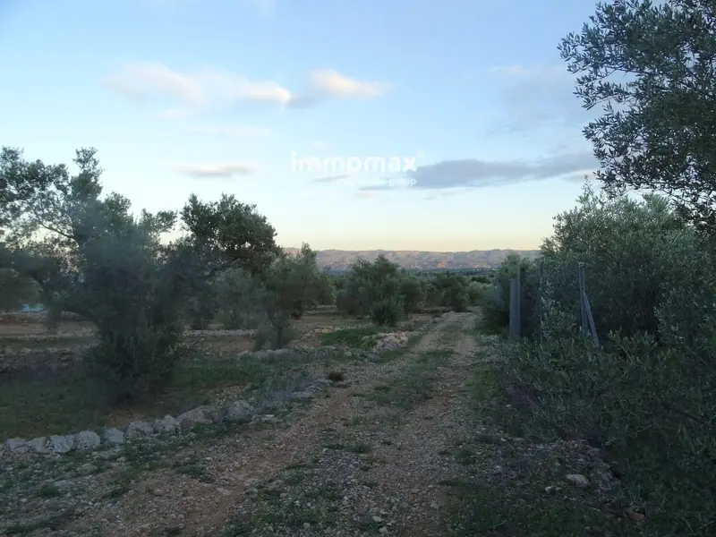 Finca Rustica en Venta Xerta Tarragona 7613m2