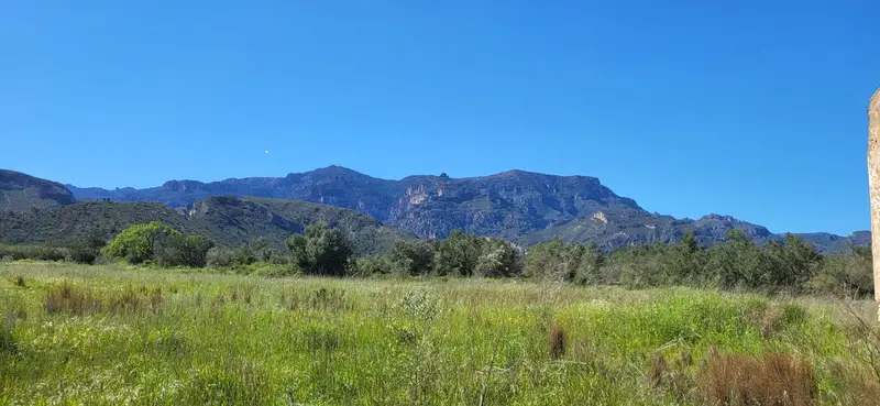 Venta Finca Rustica Roquetes Mas Barberans