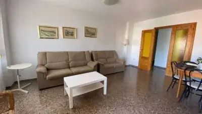 Alquiler Piso Estudiantes UA Avinguda Ancha Casatelar