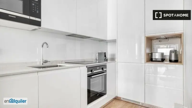 Apartamento 1 Dormitorio Alquiler Recoletos Madrid