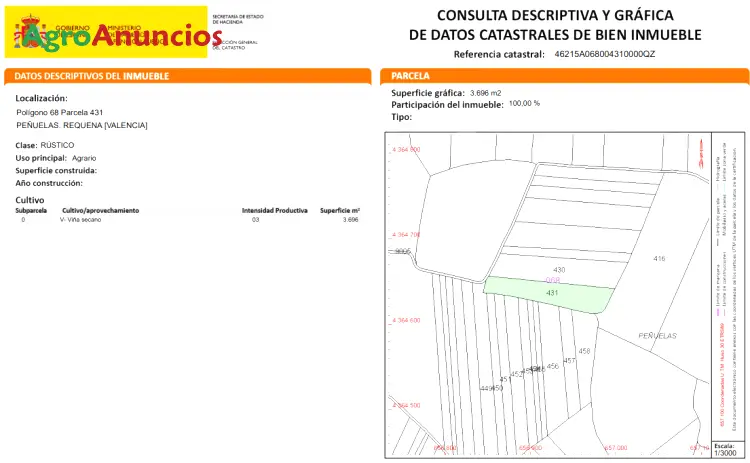 Venta  de Finca de viñas de secano en Valencia