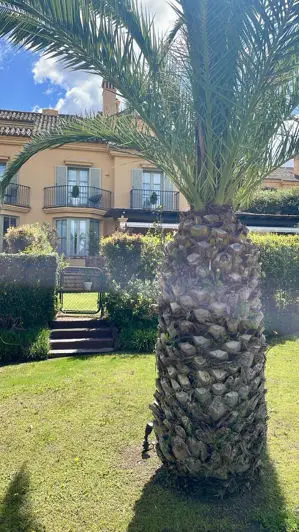 Adosado 3 Dormitorios Sotogrande Los Carmenes de Almenara