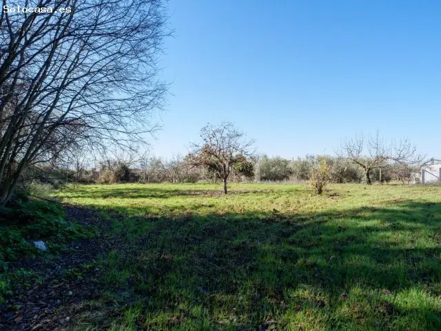 Finca Rustica en Alcaudete con riego