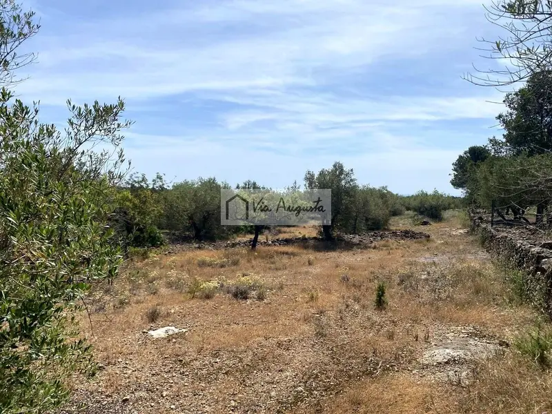 Finca Rustica en Venta El Perello Tarragona