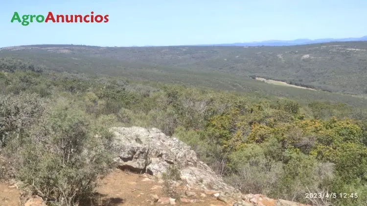 Venta  de Finca de recreo, caza y cultivo en Ciudad Real