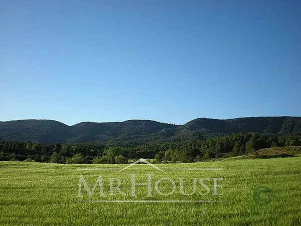 Finca Rustica Montes Toledo 1500 Hectareas Caza Cultivos