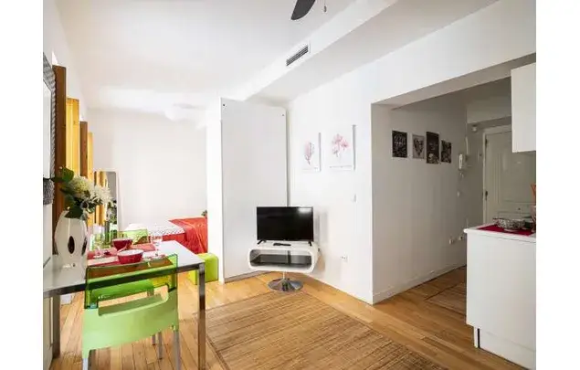 Estudio Amueblado en Madrid Puerta del Angel