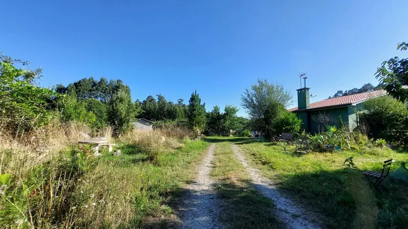 Finca Rustica con Huerto de Kiwis en Galicia