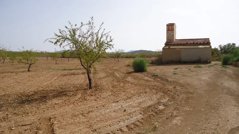 Finca Rustica en Venta Canada del Trigo Jumilla