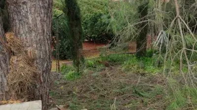 Finca Rustica en Venta Isla Cristina