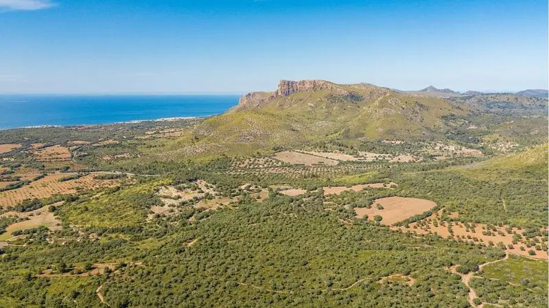 Casa de Campo en Venta Arta Mallorca 7 Dormitorios Gran Terreno