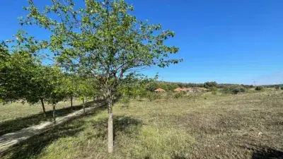 Finca rústica en venta en Malpartida de Plasencia