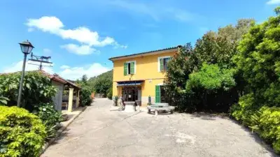 Casa Rustica en Venta Sa Pobla Gran Finca 61888m2