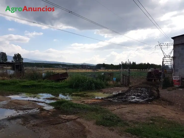 Venta  de Finca de regadío en León