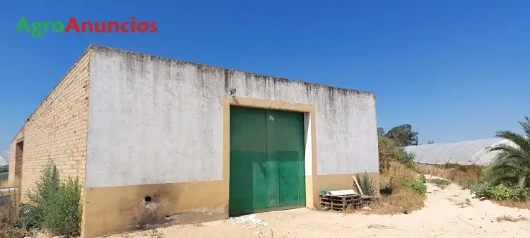 Venta  de Finca con invernaderos en Huelva