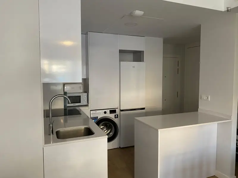 Alquiler Piso 2 Dormitorios Málaga España