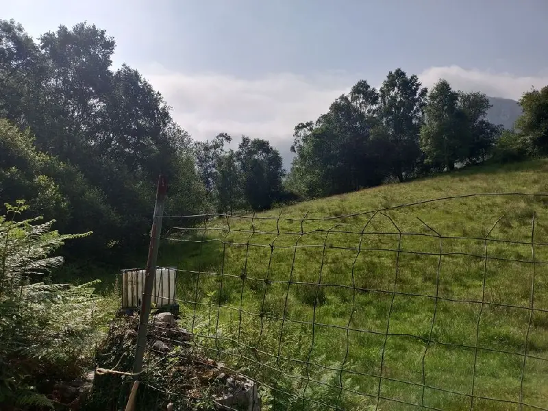 Venta Finca en Porrua Llanes Ref 137