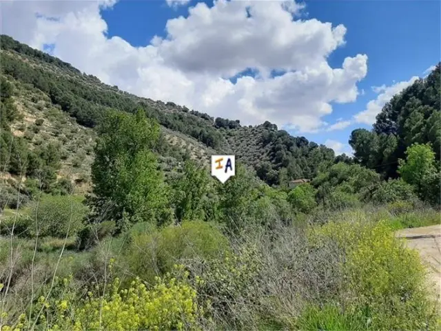 Terreno con Olivos en Venta cerca de Montefrío Granada