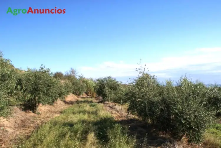 Venta  de Finca de recreo en Lleida