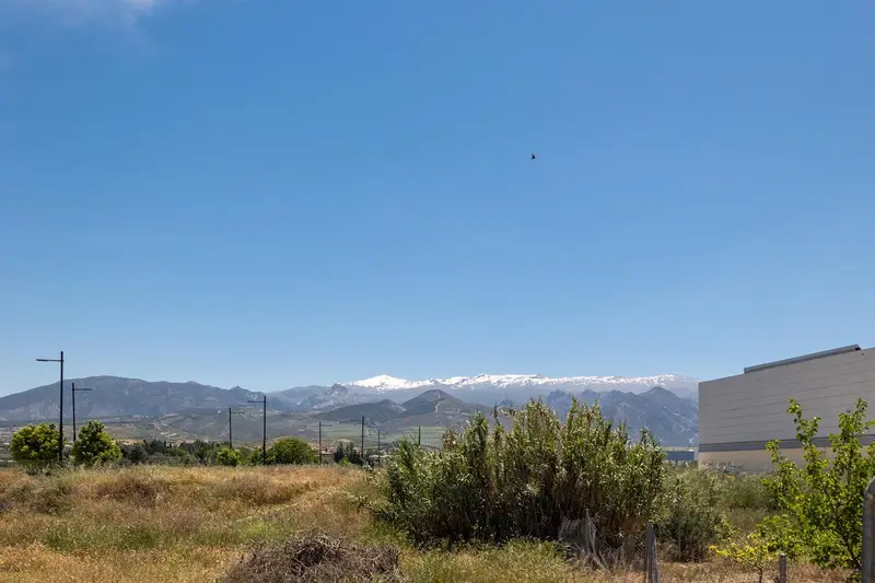 Solar en Otura Centro con Proyecto de Casa y Piscina