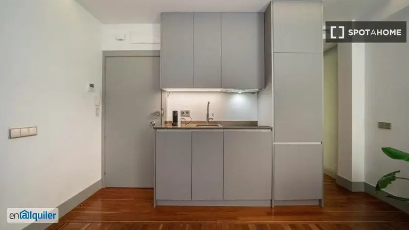 Apartamento Amueblado 1 Dormitorio Goya Madrid