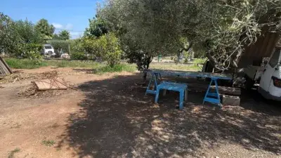 Finca rústica en venta en Camino Hondo