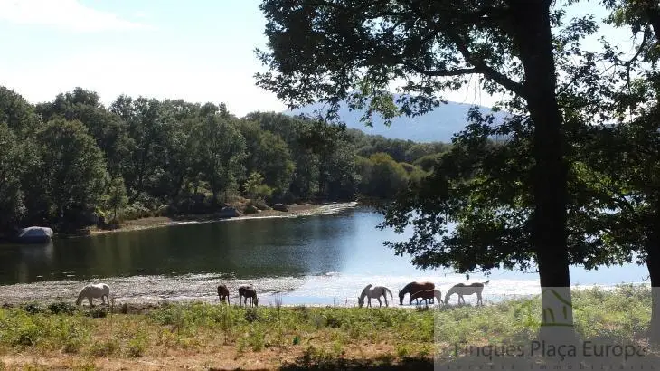 Venta Finca Rustica Plasencia 750 hectareas Ganaderia Caza