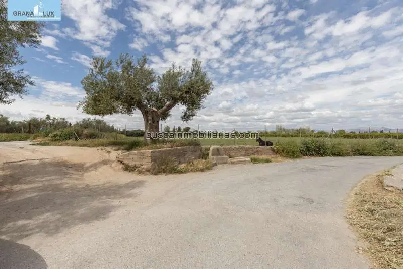 Parcela Rustica en Venta La Zubia - Inversión en Naturaleza