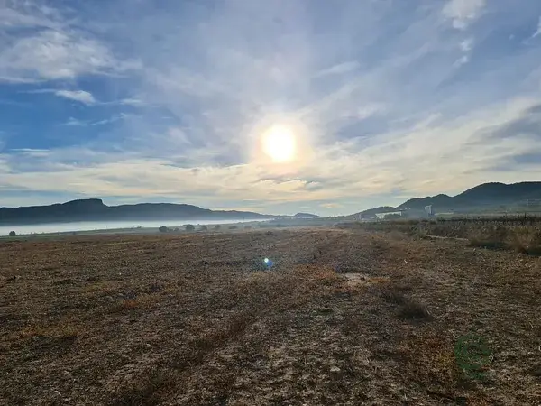 Terreno Rustico 40000m2 con Olivos y Pozo en Monover