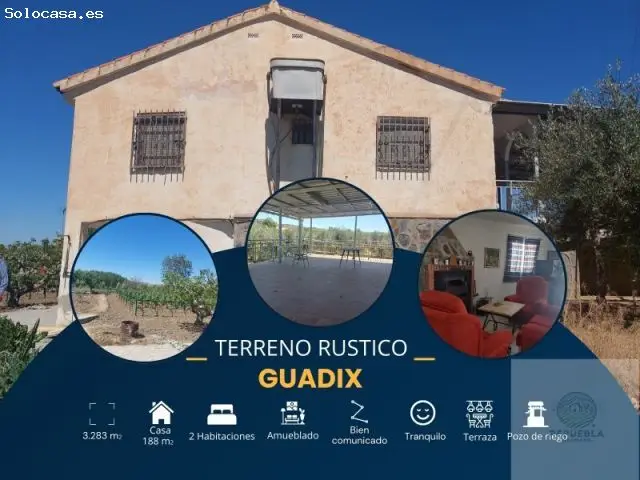 Casa con Finca Viñedos y Olivos en Guadix