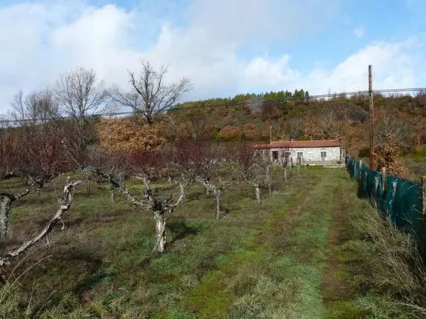 Finca con Vivienda en Omaña: Ideal Casa Vacaciones