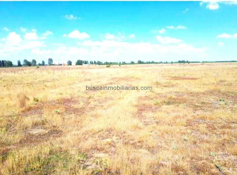 Fincas Rusticas en Venta Chozas de Abajo Leon