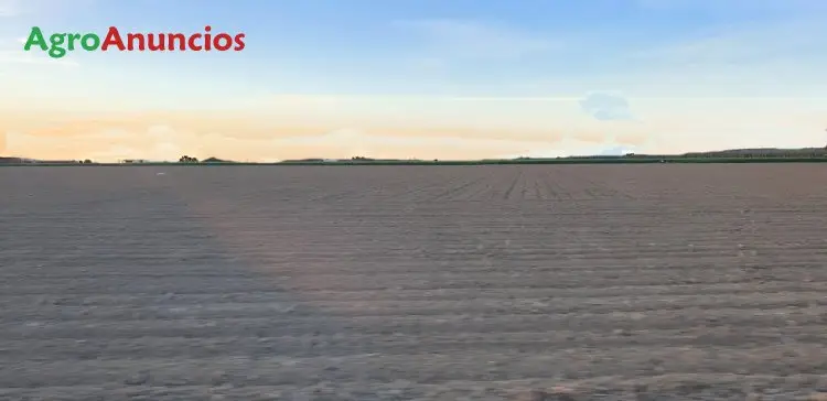 Venta  de Finca de vega de río en Badajoz