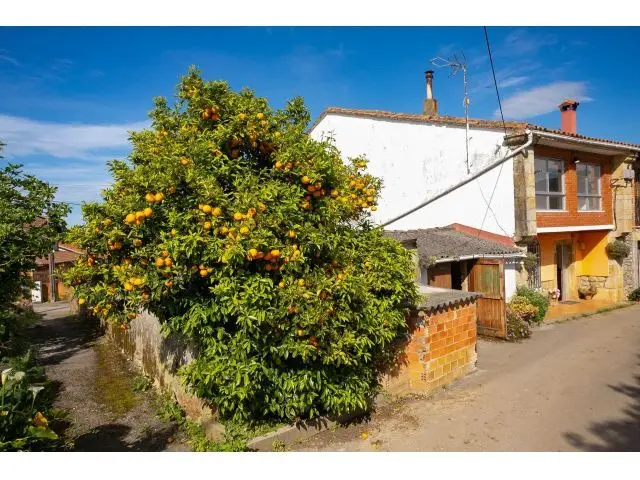 Casa de Piedra con Cuadra en Luey Asturias