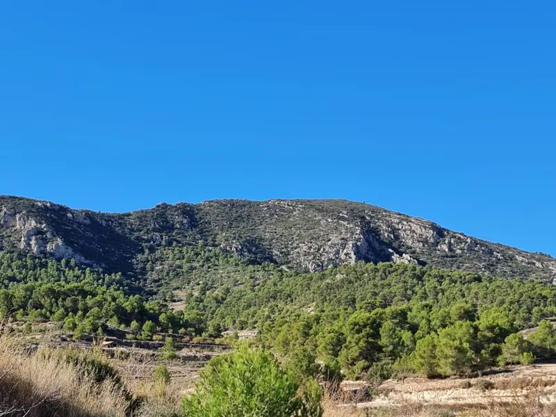 Terreno en Venta Campo Mediterráneo Español