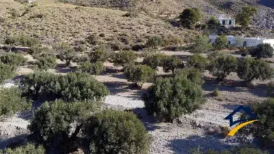 Finca Rustica en Venta Banos de Sierra Alhamilla