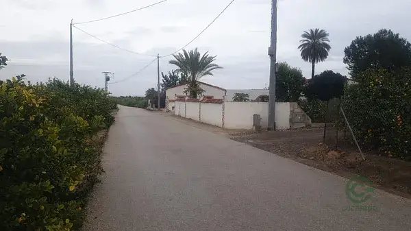 Finca Rustica con Citricos en San Miguel de Salinas