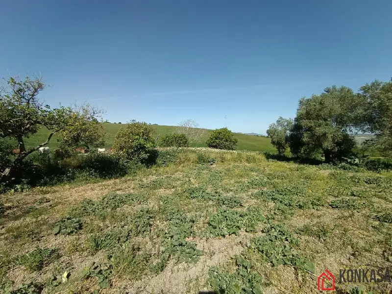 Venta Finca Rustica 2 Dormitorios Arcos Frontera