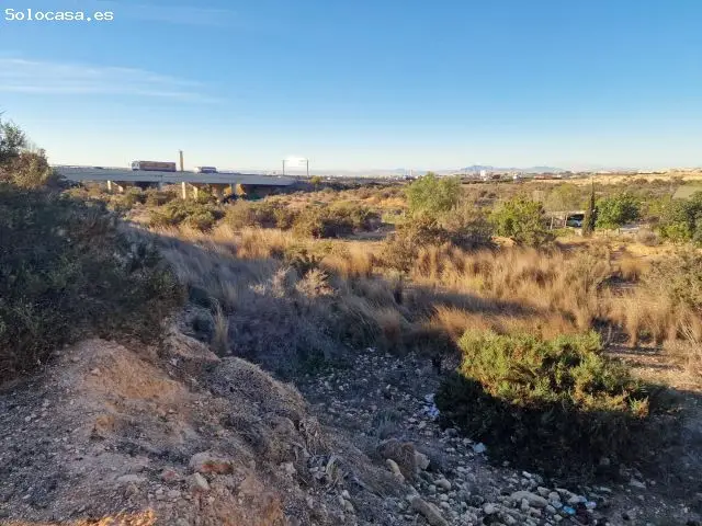 Terreno Rustico en Venta Elche Bonavista 5300m2