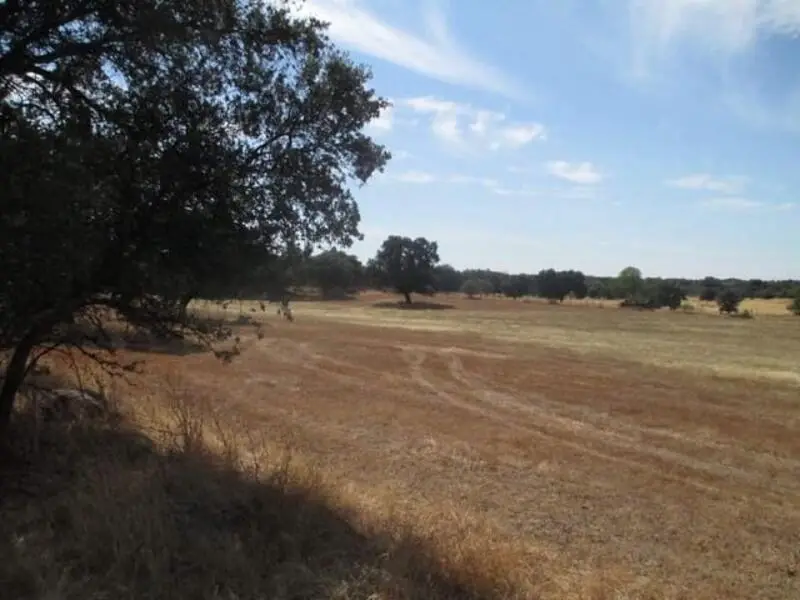 Terreno en Venta Herguijuela Caceres Casa Campo