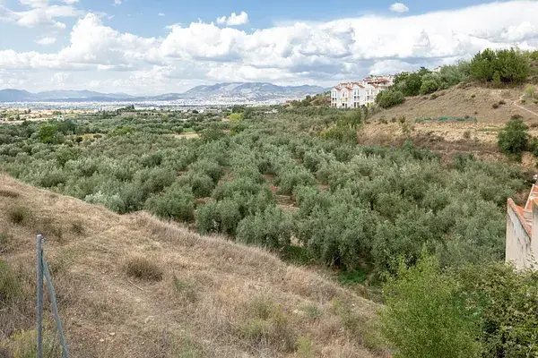 Finca Rustica Otura 3000m2 77 Olivos