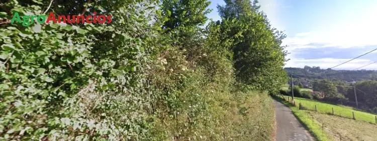 Venta de Suelo para Casa con Jardín en Asturias